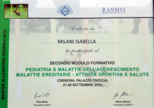 diploma04