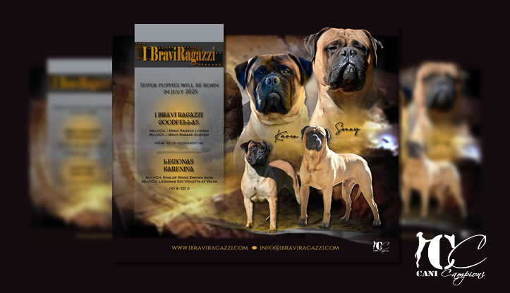 I Bravi Ragazzi